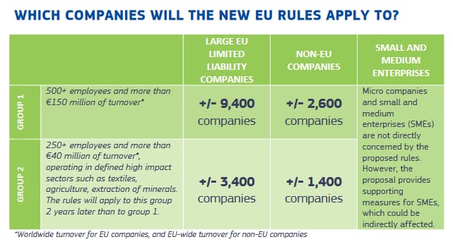Geltungsbereich der Corporate Sustainability Due Diligence Directive