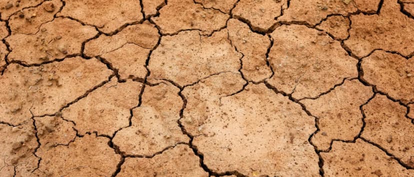 Klimastresstesting - Was Banken aus den Erfahrungen der Versicherer lernen können