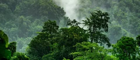 Sustainable Banking – Blitzlichter des Status quo